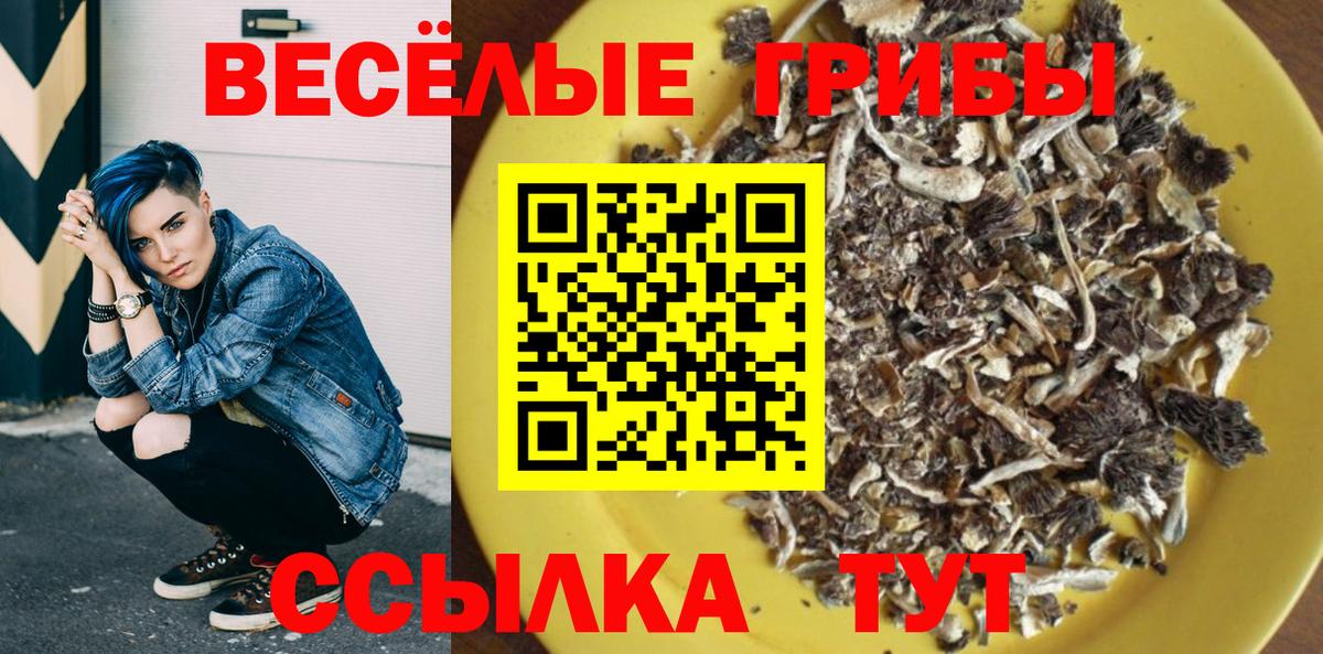 Галлюциногенные грибы Psilocybine cubensis Майский
