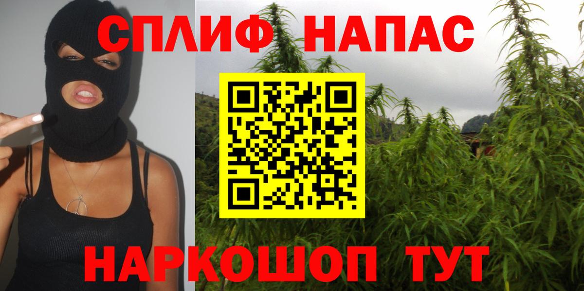 Каннабис SATIVA & INDICA Майский